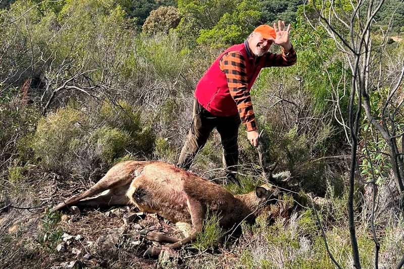 Resultado Montería Valdelayegua 2024 Monteros del Hito